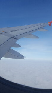 Путешествия, отдых, новые места