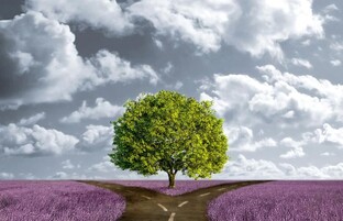 ВОПРОСЫ ВЫБОРА