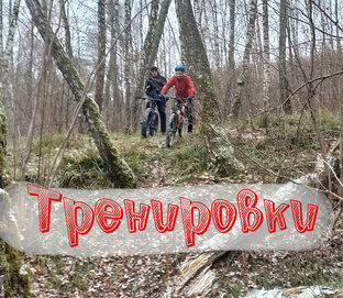 Тренировки