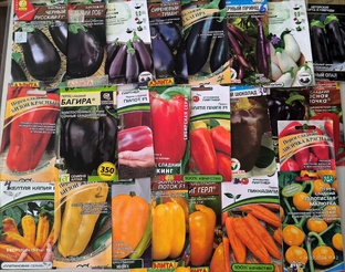 Выращиваем вместе 