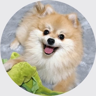 Фокс