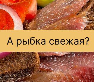 Задавались этим вопросом?