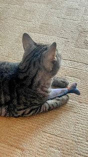 И снова Ричард 