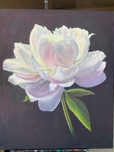 Мои картины