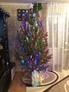 Дела домашние