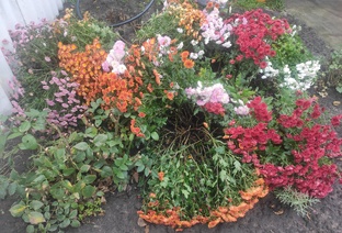 Капризница мода.