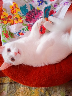 ВсякО РазнО