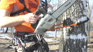 Снаряжение для работы на деревьях