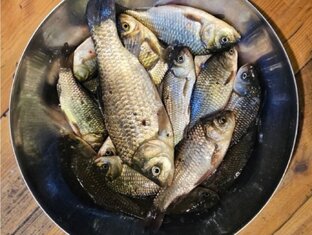 рыбалка 