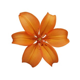 Психология😗