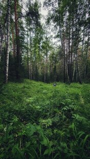 Полезные истории