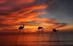 Вьетнам, Фукуок