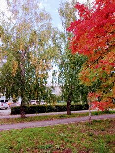 Зелёный, жёлтый, красный...