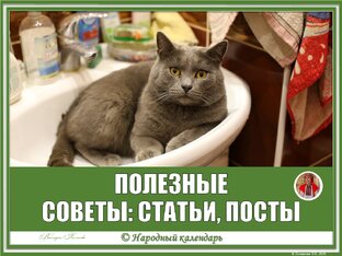 ПОЛЕЗНЫЕ СОВЕТЫ: СТАТЬИ, ПОСТЫ