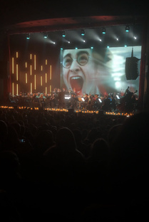 Новый год в Хогвартсе | Imperial Orchestra 2026