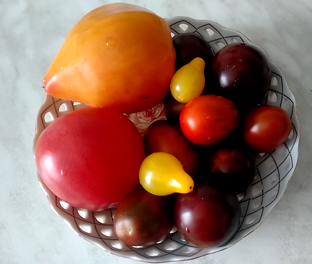 Томаты без хлопот: современные методы выращивания