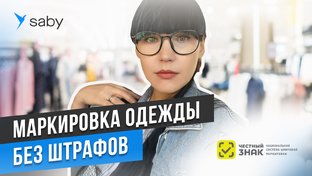 Работа с Госсистемами в СБИС