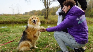 "ПРИЮТИ ЖИЗНЬ. Реальные истории"