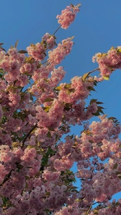 Популярное