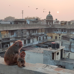Индия 🇮🇳