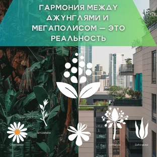 Знакомство с миром Этноботаники