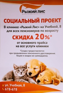 Социальный проект