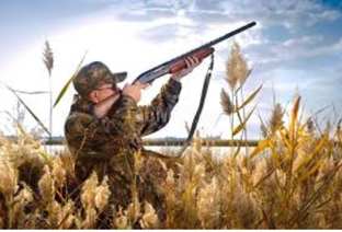 Всё об охоте