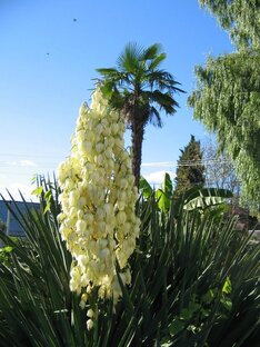 Переезд на Юг с обратным билетом 