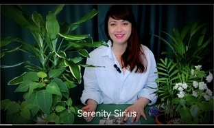 таро для Девушек💃