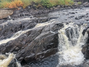Отзывы о различных музеях и выставках. 