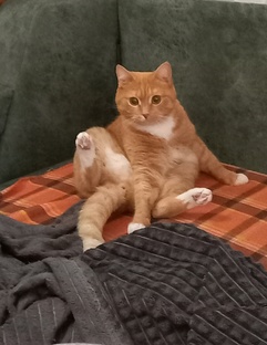 Распаковка товаров, цены.