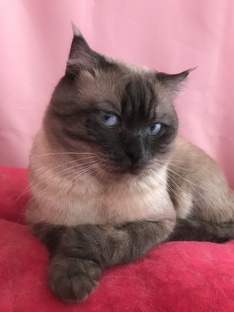 Личное. Не консультации