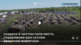 Как все начиналось