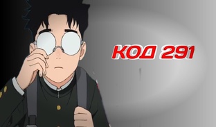 КОД 291