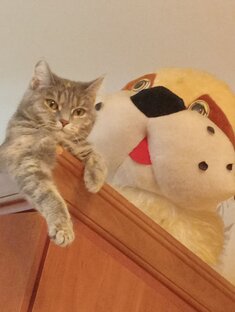 Мне сверху лучше Вас всех видно😂😂😂