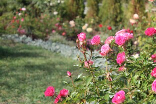 Путешествие по садам