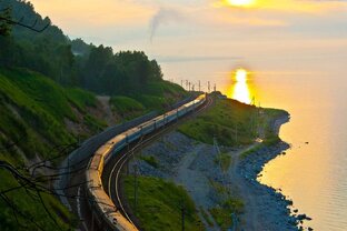 Тесты и викторины