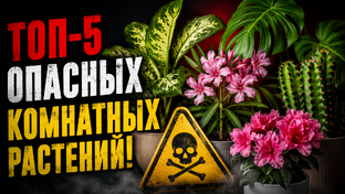 Полезное