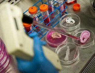 Стволовые клетки