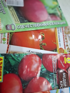 Про рассаду овощей.