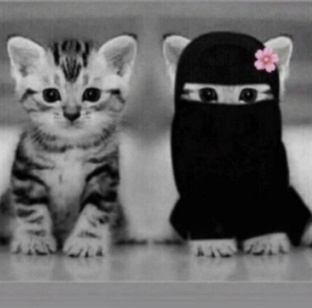 Религия Ислам видео ролики 