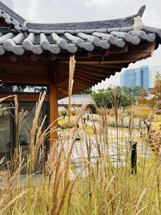 Корейские будни