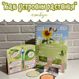 Лэпбук "Как устроены растения"