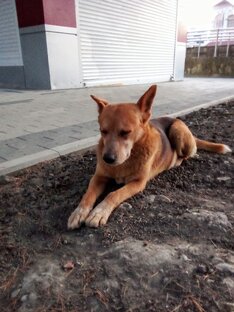 Новости Которые Не Кто Не Знал😱