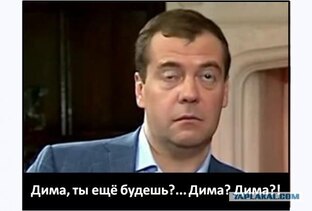 О дрессированных хомячках госдепа ...