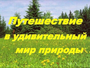 Интересное о природе и животных детям