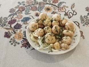 Грибы