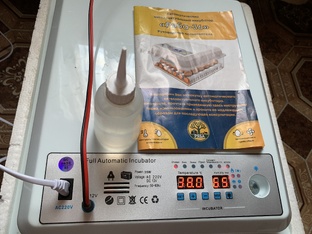 ИНКУБАЦИЯ В ИНКУБАТОРЕ РЯБА 36 ( КИТАЙСКИЙ ) ИНКУБАЦИЯ ОТ А ДО Я🐣🐥🐣