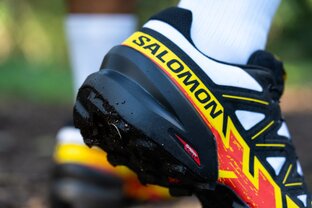 Salomon