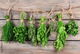 Огородные дела